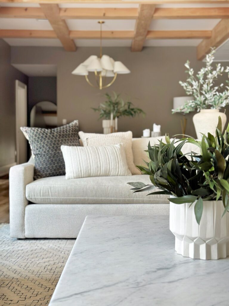 Green plant in white pot on marble table.